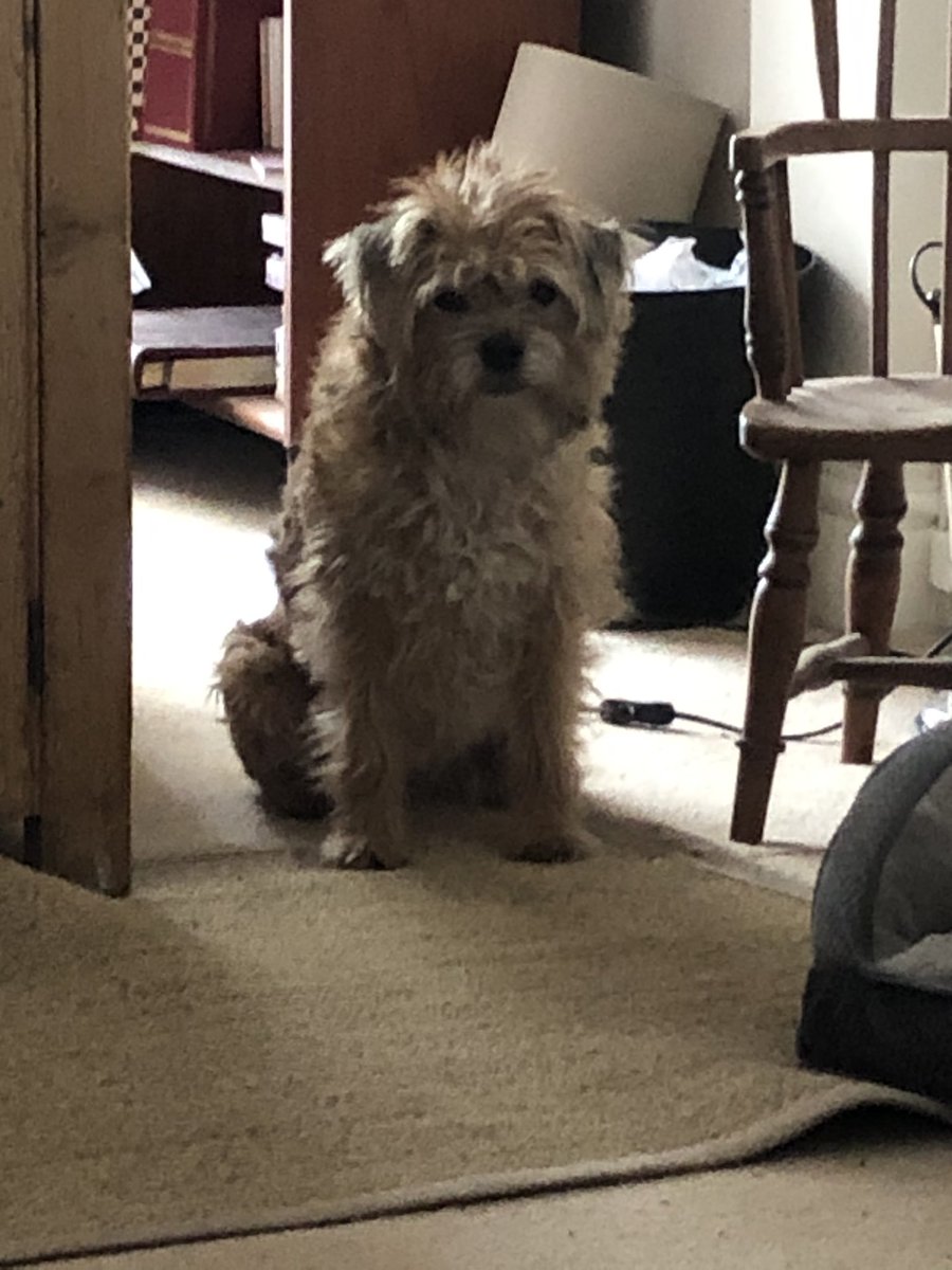 Clare Hughes tweet media