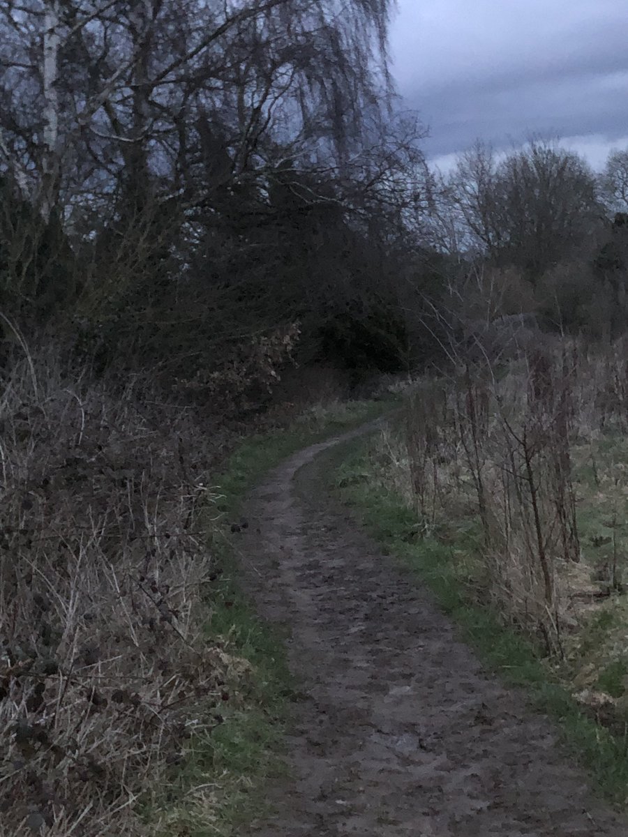 Evening Ride on my Road Bike, I’ve turned it into a gravel bike, 32” hybrids for rubber, put the seat up and put some spd’s on, it’s a blast in the mud👍