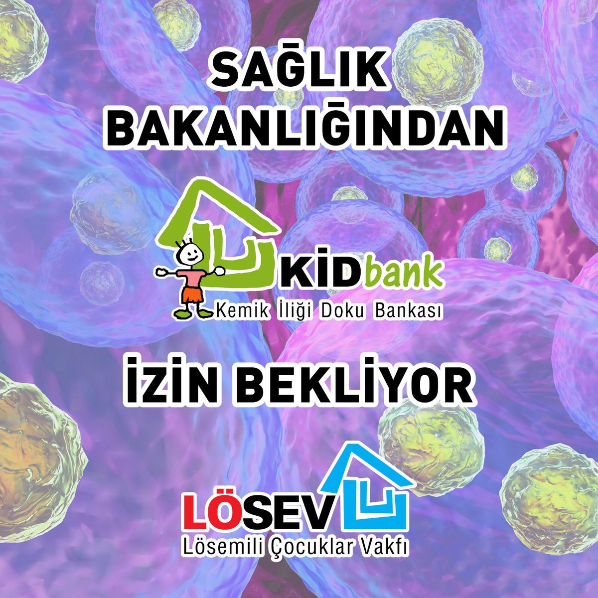 ustunezer's tweet photo. @topsakal_ozkan @berula3 @losante @losev1998 LÖSEV’e izin verilirse 
1 milyon donörlük ulusal bir bankamız olacak.
Tek beklentimiz Kidbank ruhsatımız. Hasta kaybetmemeliyiz https://t.co/M4Iicfy4Ij