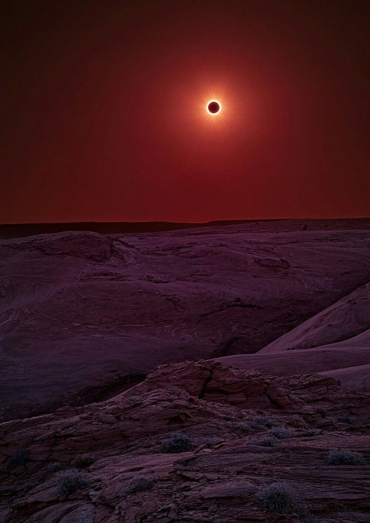 於是他宣布太陽已經死了。