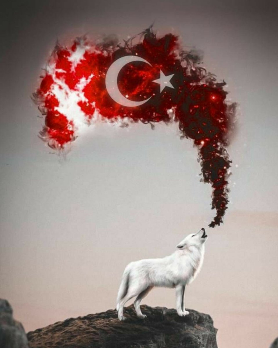 Varlığım Türk Varlığına Armağan Olsun.

NE MUTLU TÜRK'ÜM DİYENE 🇹🇷