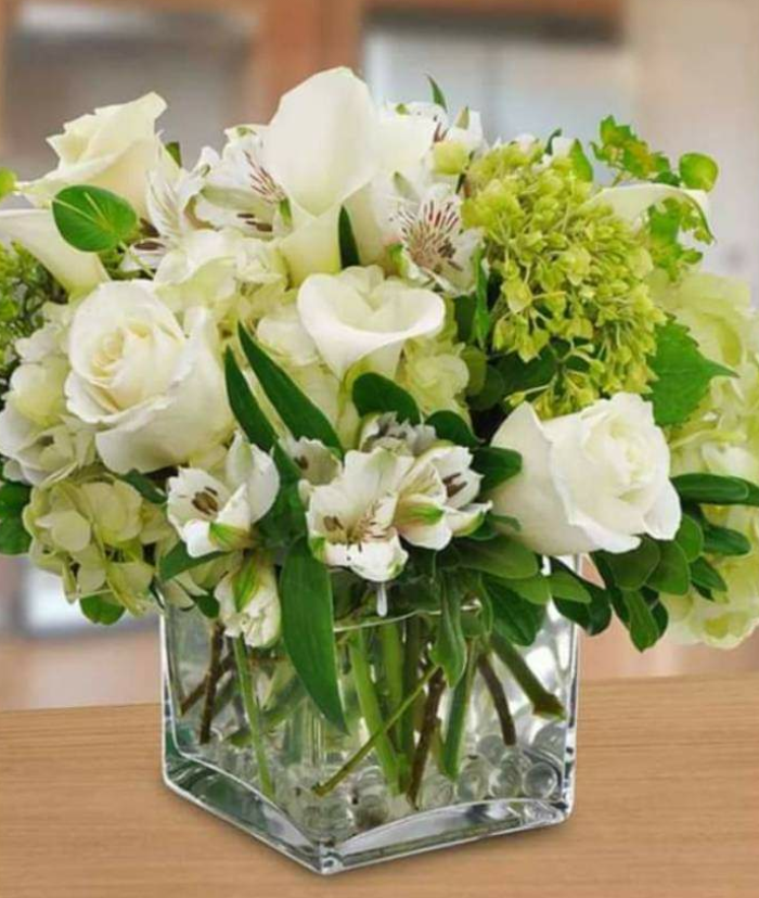 ahouseofflower1's tweet photo. Send some good fortune this St. Patrick's Day! https://t.co/2FchDEwin7
