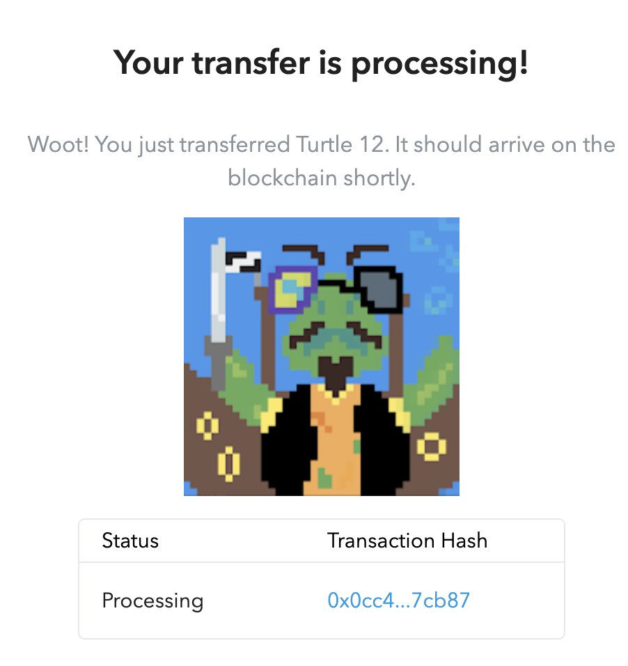 ExiomTurtle's tweet image. Congrats @b_obb ! Turtle 12 has just been transferred. The last turtle of the collection will be released in the coming days. Stay tuned!