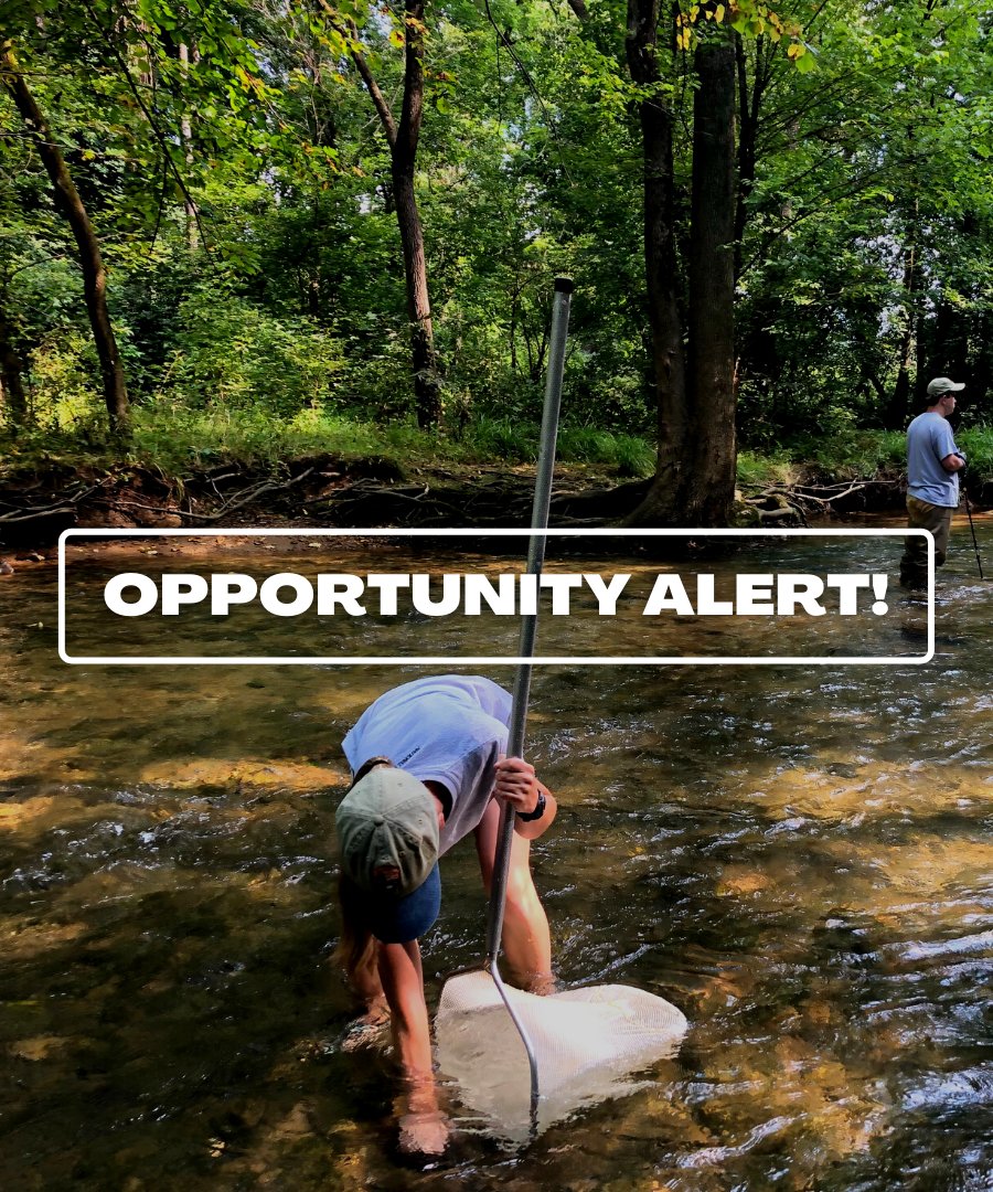 STEWARDS tweet media