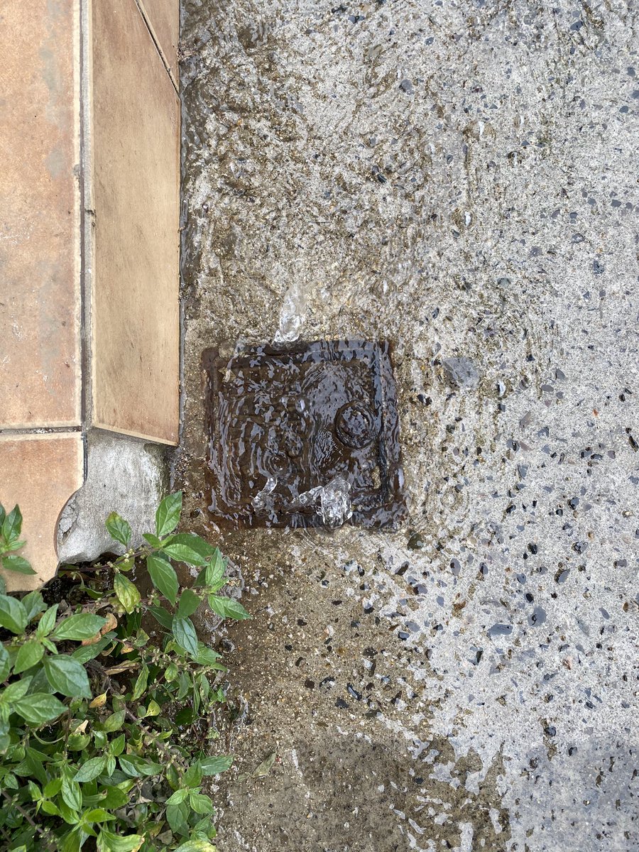 Junta de Vecinos 58 cerro Merced tweet media