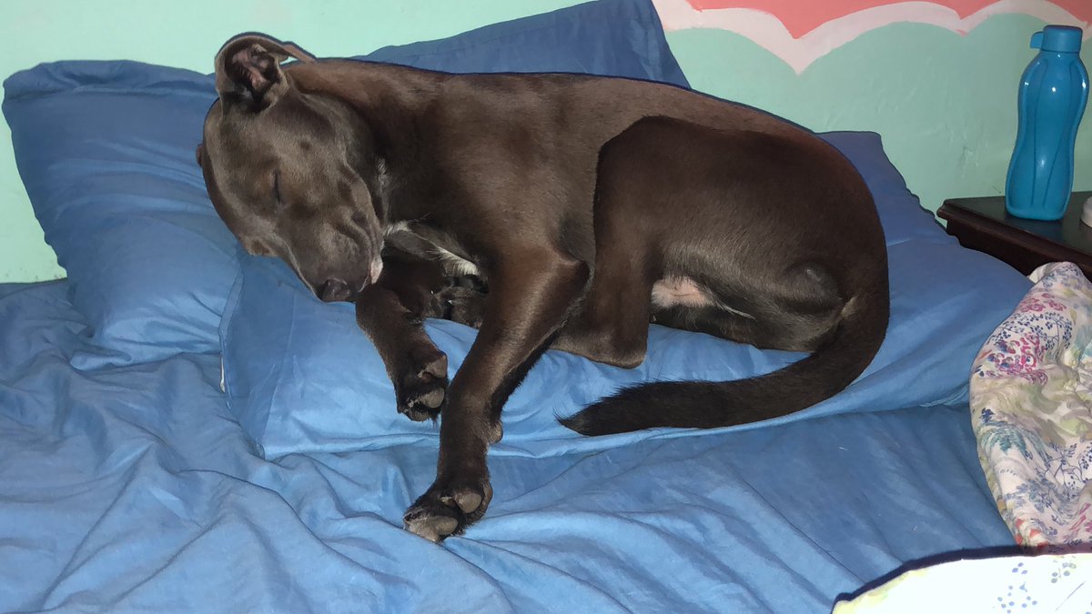 flor ❁ tweet media