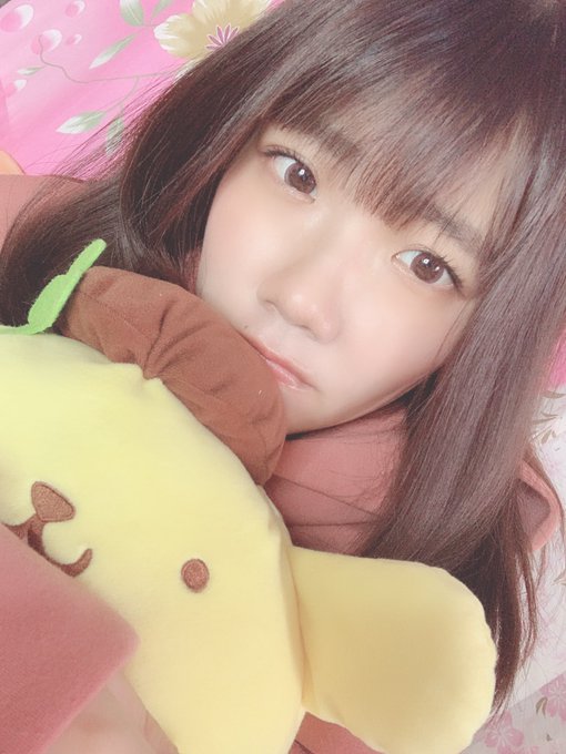 ポムポムプリンのtwitterイラスト検索結果