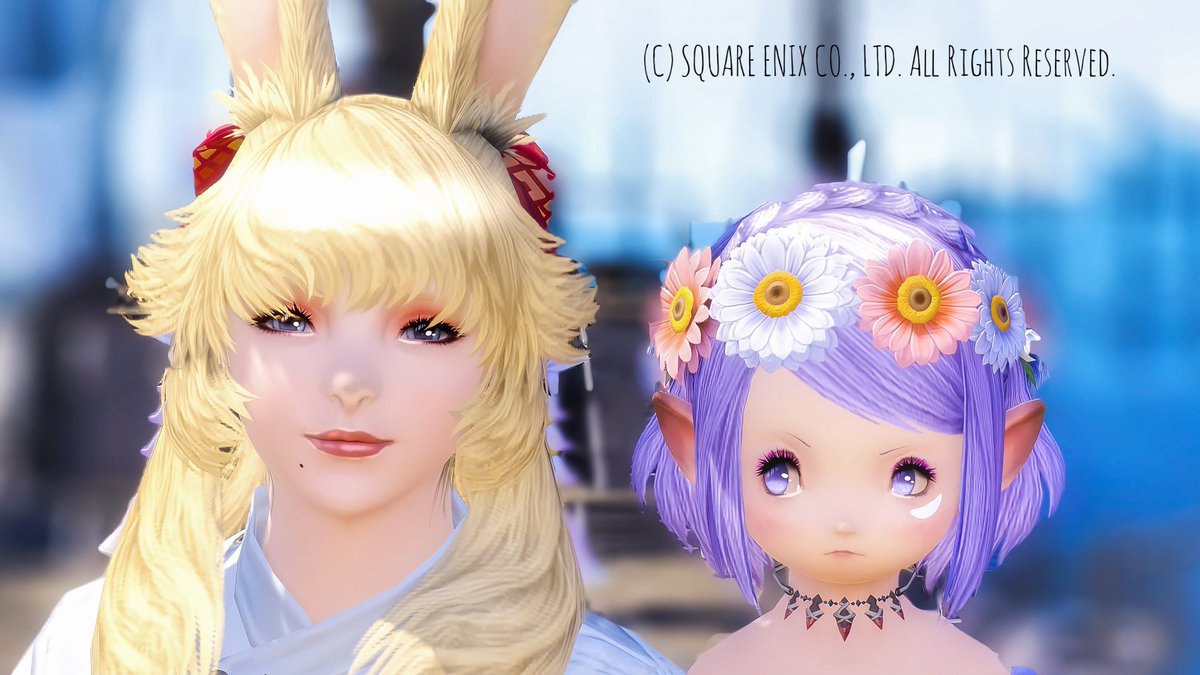 K_libchan tweet picture