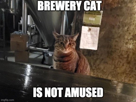 Metal Monkey Brewing (@metalmonkeybrew) on Twitter photo 