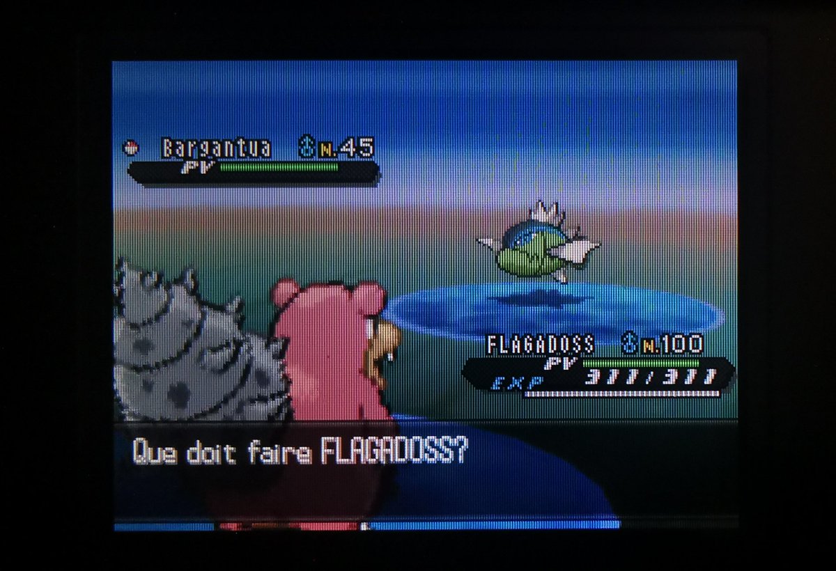 QUA-DRU-PLÉ LEWANDOWSKIIIIII!!!!! 😂😂😂😂😂 Shiny Basculin / Bargantua en 203 Fishing spots! C'est incroyable ce qui se passe aujourd'hui les amis 🤣