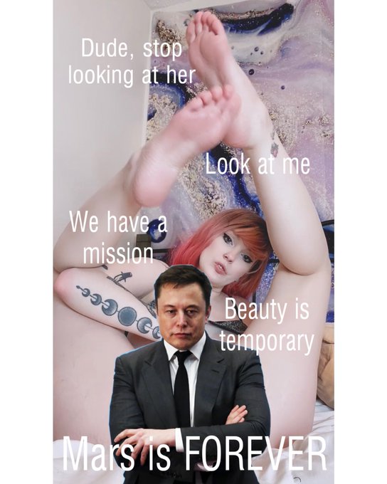 You heard daddy Elon, let&rsquo;s go to Mars 🚀 https://t.co/GYUDZ8rygK<a href="/tag/dogecoin"class="tags"><span>#dogecoin</span></a>