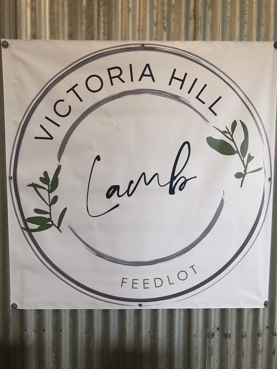 Mark Furner MP (@markfurnermp) on Twitter photo Magnificent to see what Victoria Hill Lamb Feedlot has built with a job-creating RED grant from the State Government #qldag #qldjobs #qldpol #eatqld #victoriahill Also caught up with the <a href="/AgForceQLD/">AgForce Queensland</a> Sheep and Wool Board, talking #agtech and jobs Magnificent to see what Victoria Hill Lamb Feedlot has built with a job-creating RED grant from the State Government #qldag #qldjobs #qldpol #eatqld #victoriahill Also caught up with the <a href="/AgForceQLD/">AgForce Queensland</a> Sheep and Wool Board, talking #agtech and jobs