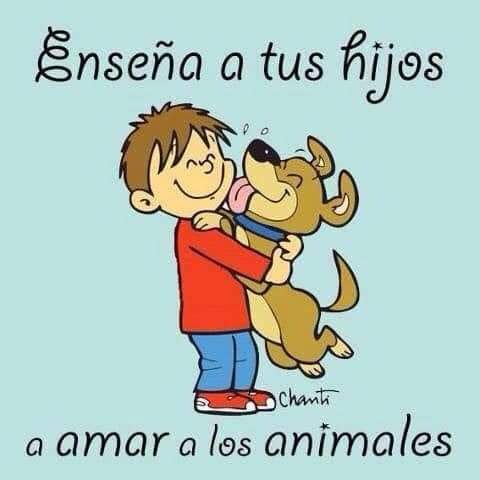 Jannet_Vg's tweet photo. #friendlypet https://t.co/nXQLFVtpvT