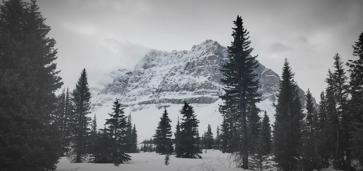 XJSquire's tweet image. Jasper is such a gorgeous drive! Right in my backyard and have never been before