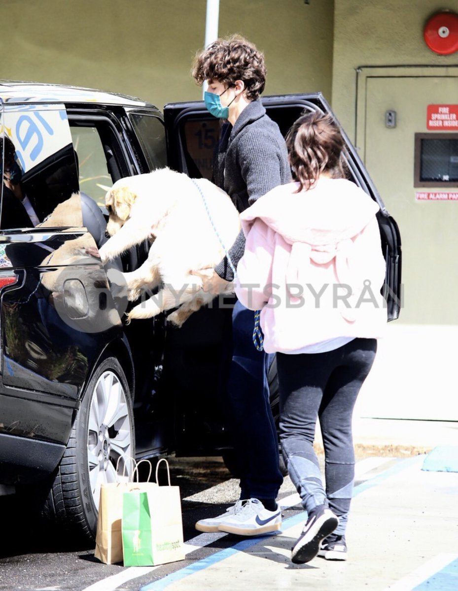 Shawn carrying Tarzan into their car today in Los Angeles 😂