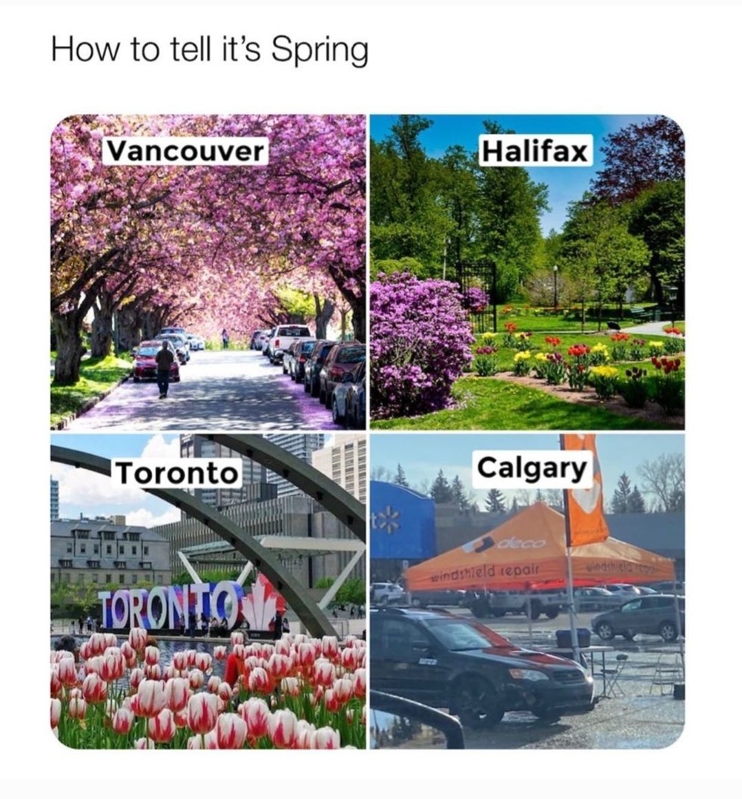 #truth #spring 
#yyc #Calgary