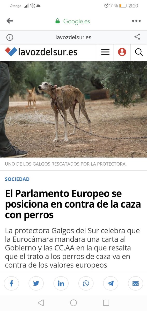 CACMA_es's tweet photo. https://t.co/EGn0gmghyq
#freegalgo #StopGalgueros
#StopCaza #JusticiaParaLosAnimales https://t.co/XTG0wYBXRJ