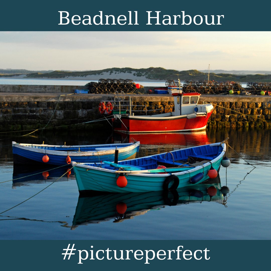 Picture perfect! Nothing more perfect than a stroll along Beadnell Harbour. Please share your picture perfect with us.

#pictureperfect #beadnellharbour #missingthecoast #perfectmoments #beadnell #visitnorthumberland