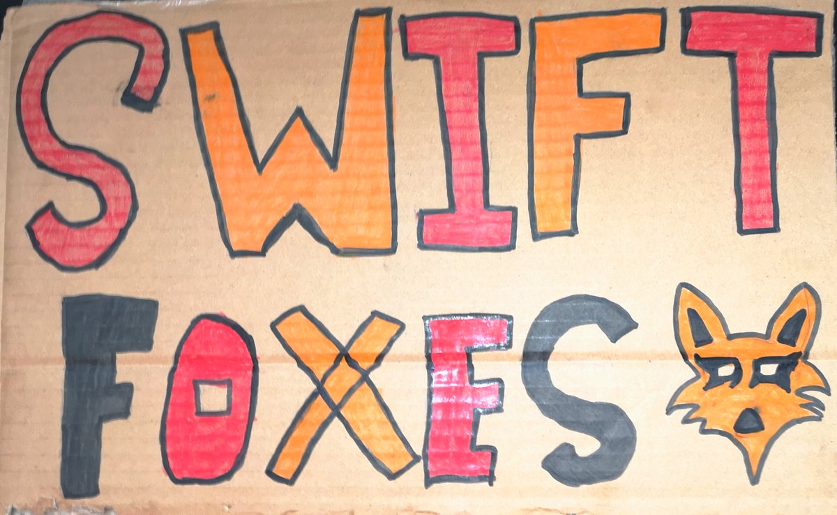 Maneetbains1's tweet photo. @MrKFairlawnPS @Mr_Nudds I CREATED A POSTER JUST BECAUSE SWIFT FOXES GOT THIS! YOU GOT THIS! https://t.co/xmEL6bm5tW