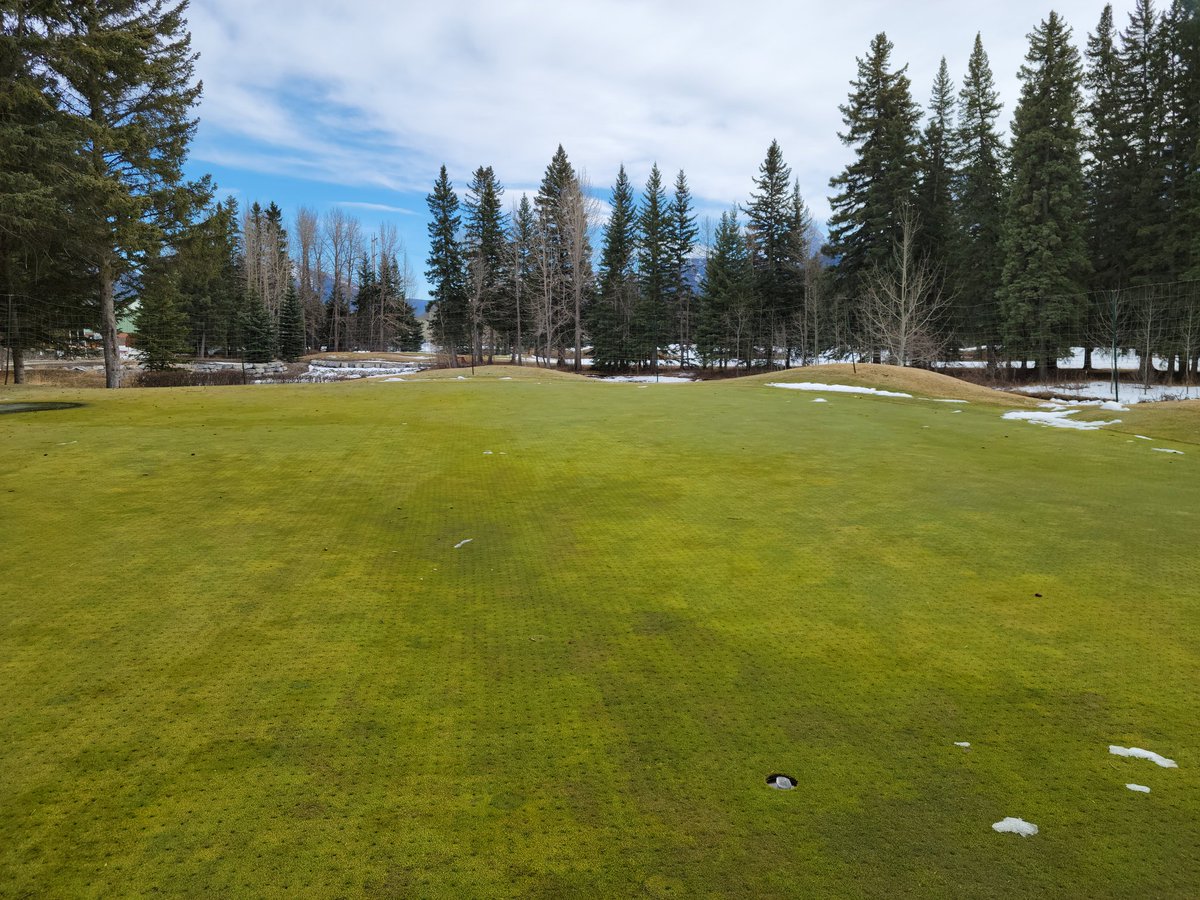 ReidSolodan's tweet photo. Greens cleared and a few Spring tarps on @CanmoreGolf #greenhouse #blankie #keepingthemwarm https://t.co/RS4KvSSl8F