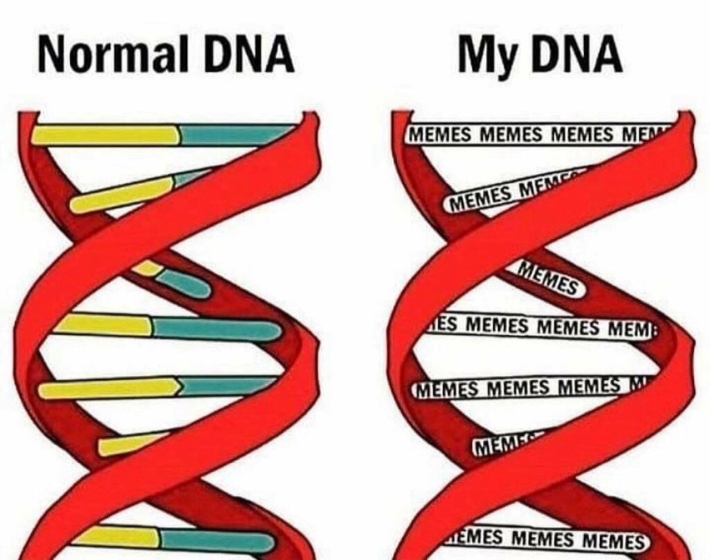 BREAKING: Scientists have discovered a new nitrogenous base called Memeine (M)!