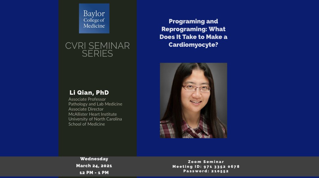 BCM_CVRI's tweet photo. @BCM_CVRI is truly excited to host Dr. Li Qian, Associate Director or @UNC_MHI at the CVRI Seminar Series on Wed., March 24th @ 12PM. Join us! #reprograming #cardiomyocytes @UNCPathology @UNCResearch @BCMHeart @bcmhouston @BCM_PathRes @naliphd @Rongtian2 @Umair2017 @jmills1955 https://t.co/IqwwCFr4fO