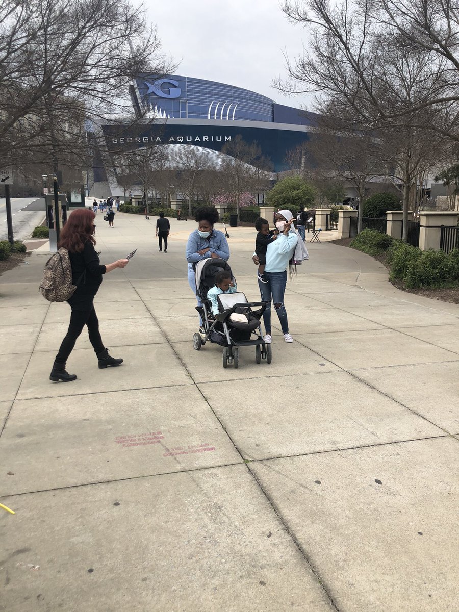 New Georgia Project Action Fund tweet media