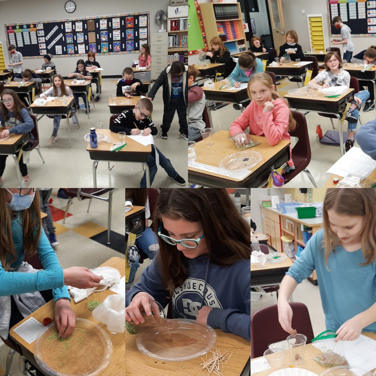MrsADenton's tweet image. Science Experiments! Separating materials, day 1.  Check back Thursday for more! #gr5fun #hscsproud #ecsrdSTRENGTH #scienceexperiments