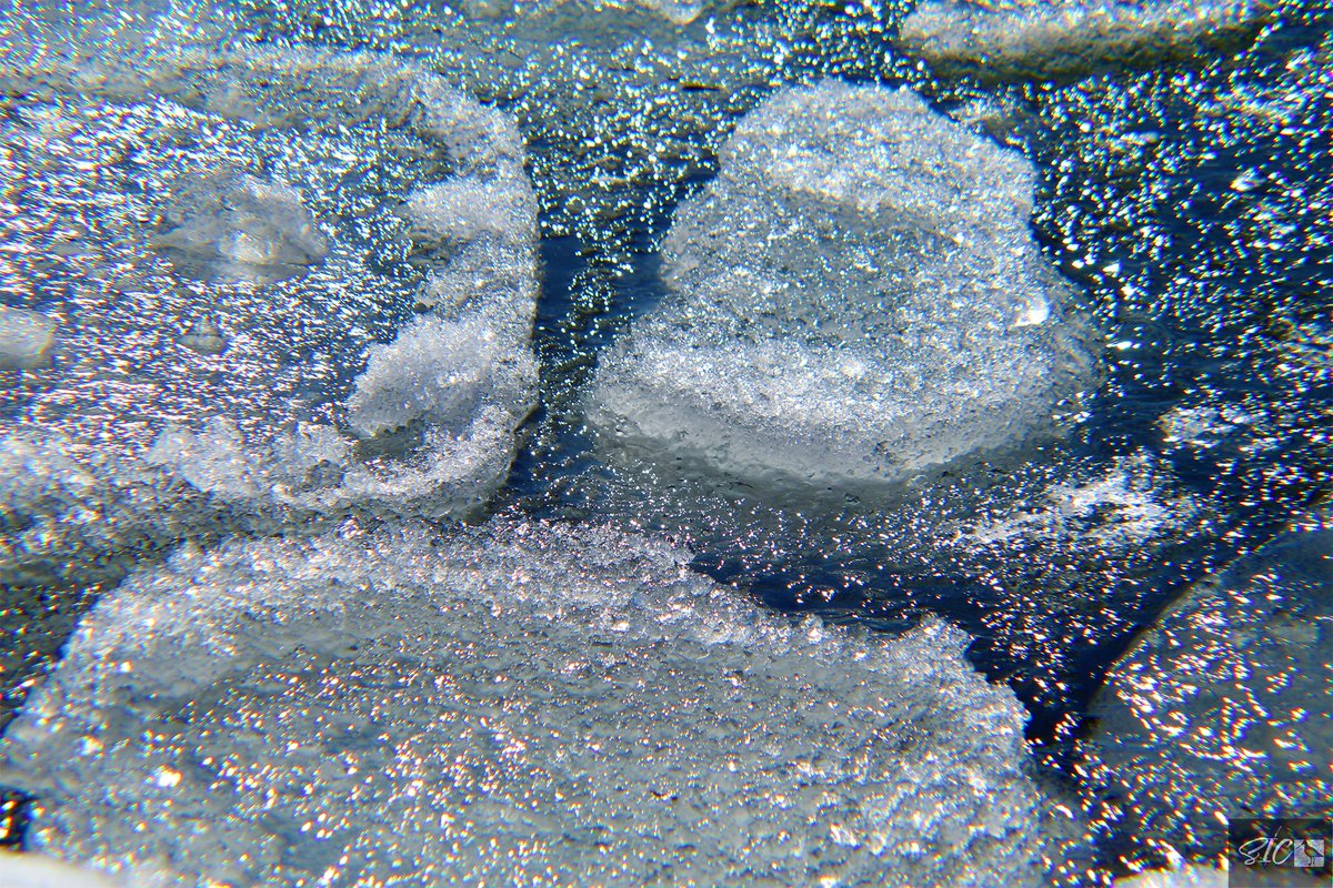 IslandSnipe's tweet photo. Ice chunks on a sunny day today #nature #naturephotograpahy #SICcontent #canonphotography #Canon #CanonFavPic #canonusa #canonfamily #stlawrenceriver #thousandislands #1000islands #nny #upstateny #river #kringpointstatepark https://t.co/8CayZMVUPG