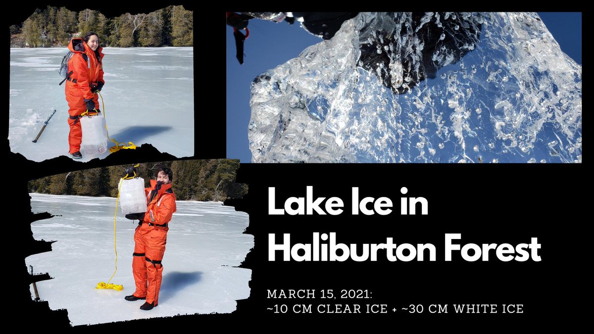 Laura Brown tweet media