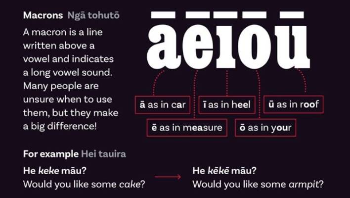 Addressfinder tweet media