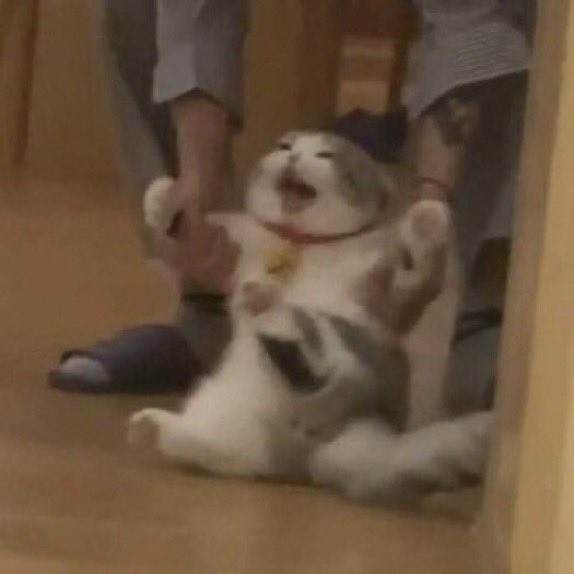 childecats's tweet photo. @NotKura https://t.co/DeEQQ6cTqp