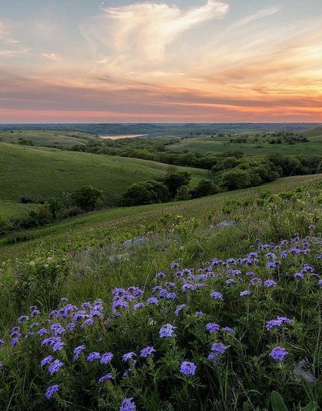 We are grateful for beautiful sunsets, nature, and fresh air. What is one thing you are grateful for? 🤍