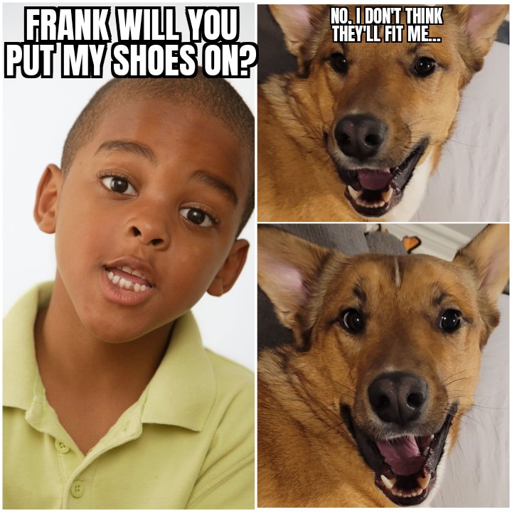 Frank tweet media