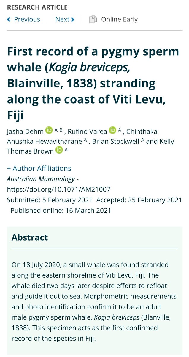 rufino_varea's tweet photo. New research article out on First record of a pygmy sperm whale stranding along the coast of Vitu Levu. Thanks to the co-author team: @FijiJasha @BrianStockwell4 @kellytjbrown &amp; Chinthaka of @uspmarine1 @UniSouthPacific.

#AcademicTwitter #Fiji #Researchpaper https://t.co/QJ5QHpSlsA