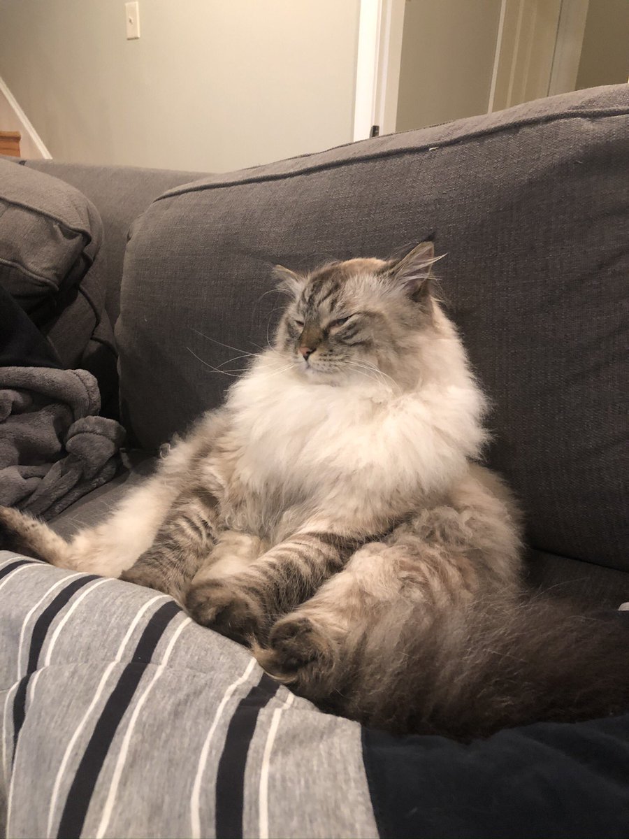 Valerie Insinna tweet media