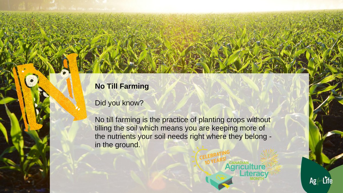 Have you heard of NO-TILL Farming!?

No till farming is the practice of planting crops without tilling the soil which means you are keeping more of the nutrients your soil needs right where they belong - in the ground.