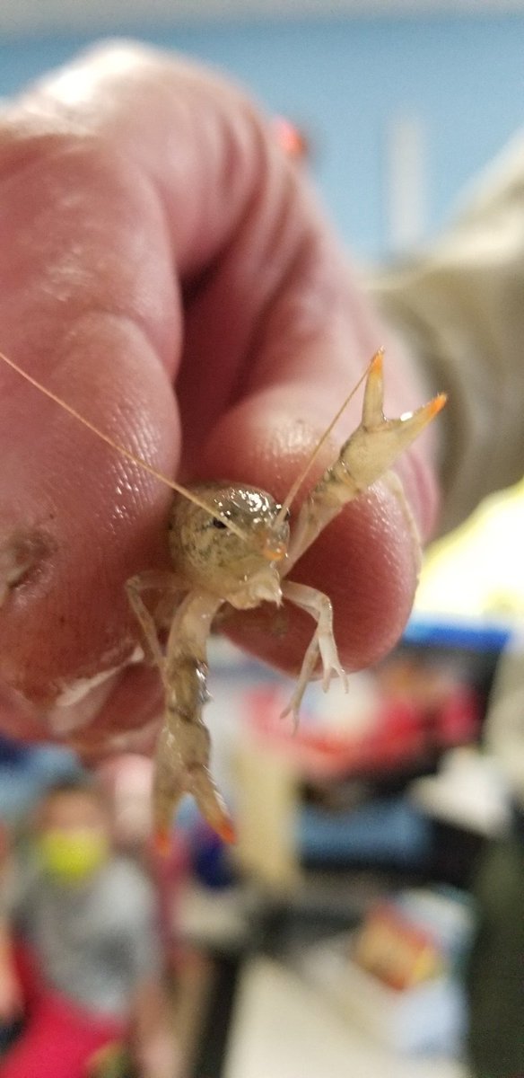 Ann Conner tweet media