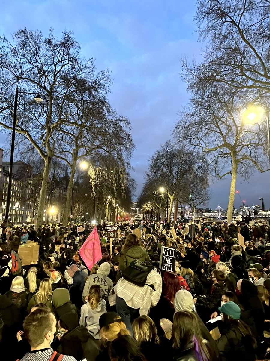 alice_bingley's tweet image. 📸 #ReclaimTheStreets #RightToProtest