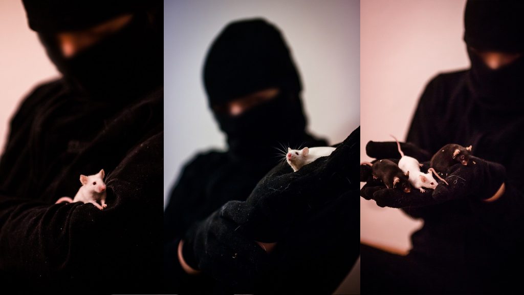 ANIMAL & EARTH LIBERATION WORLDWIDE ✊🌍🐾💚🍉🕊 tweet media