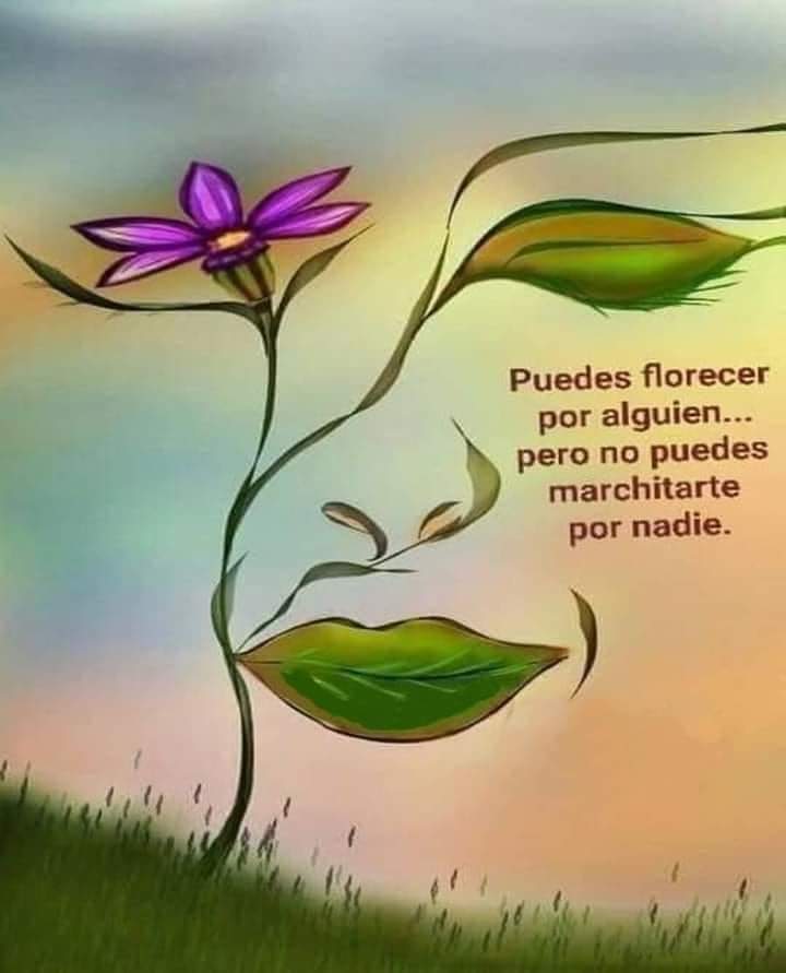 IsidroMargaret's tweet photo. Hoy aplica una plática-Taller de mucha importancia, servir siempre será un placer.. 👍 🙋🏽‍♀️ ☺️ 😉 ❤️

Saludos y bendiciones para todos 🌎 sigan disfrutando de esta linda tarde de lunes 🤗☕☕😘
#Soy45
#ViveYSonríe 
#FloreceYAvanza🌻👣
#FelizTarde💋☺️😘 https://t.co/3alrUIeh3g