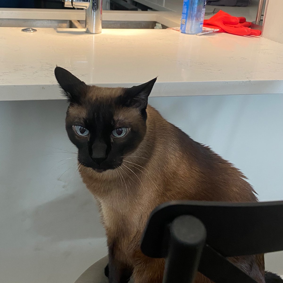 LloydApproved's tweet image. I’m still waiting for my #FirstWhiskey.