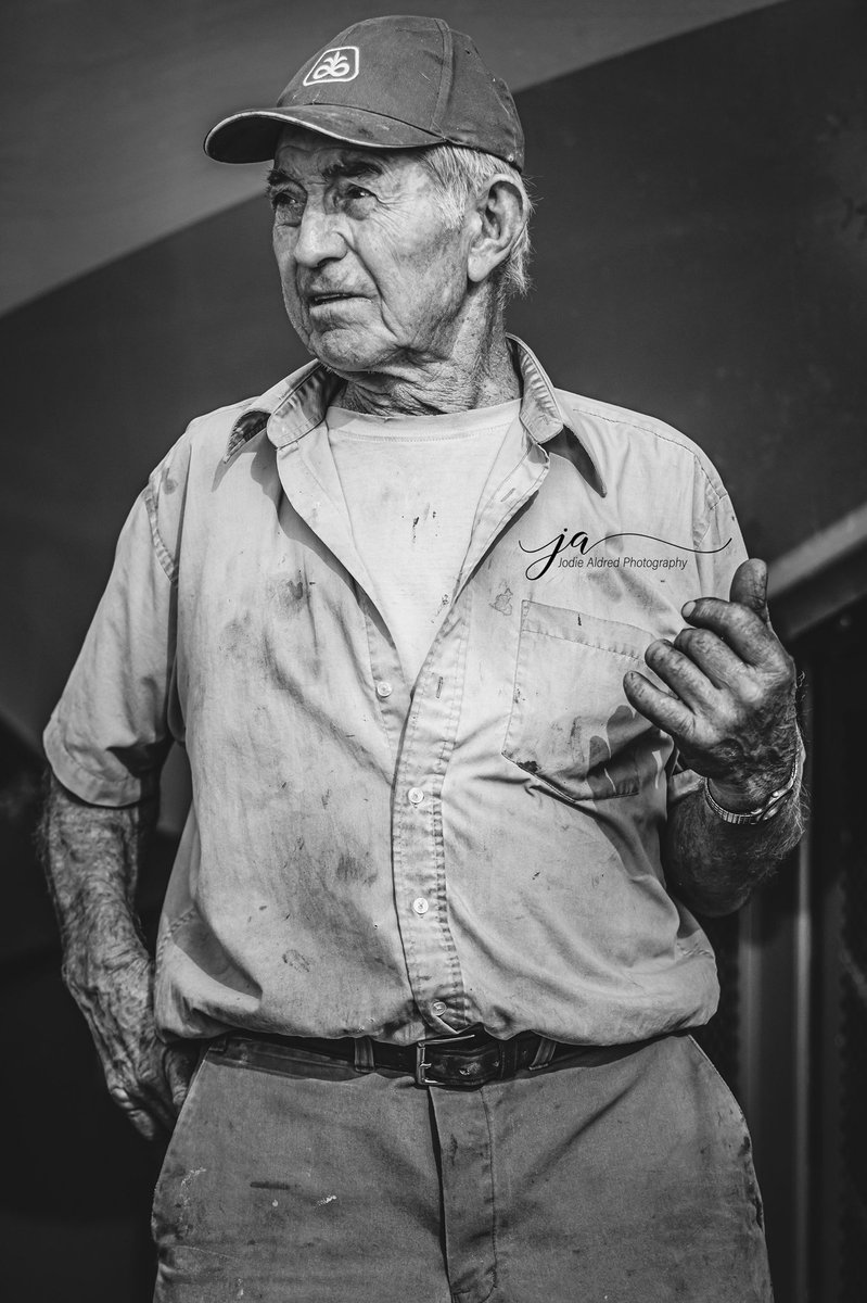 Jodie Aldred Photography tweet media