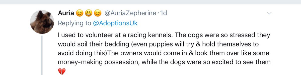 Who needs outside opinions about our sport when we have 'insiders' like this. You will never represent my dogs. #retirednotrescued #GreyhoundRacing #youbettheylie #ourgreyhoundsourlives