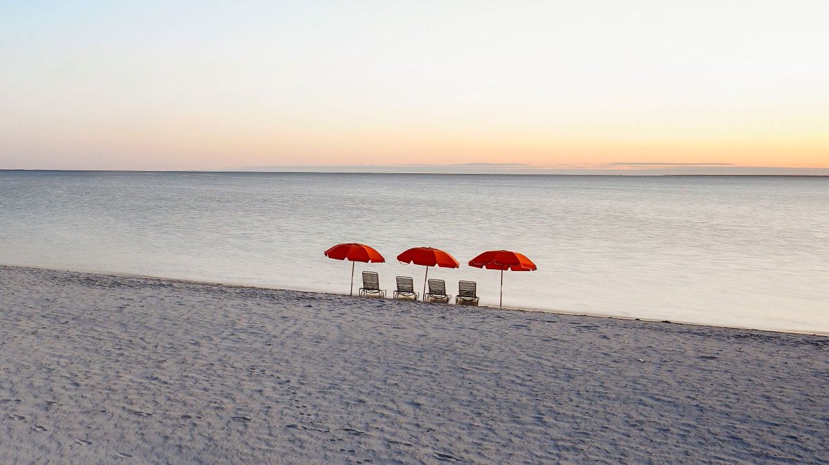 Pick up your shellphone; serenity's calling. 🐚