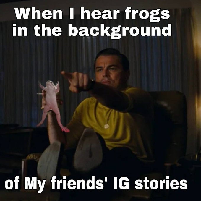 When I hear frogs in the background of My friends' IG stories.

Ribbiting
🐸💕💕🐸 https://t.co/GoC1jYIb