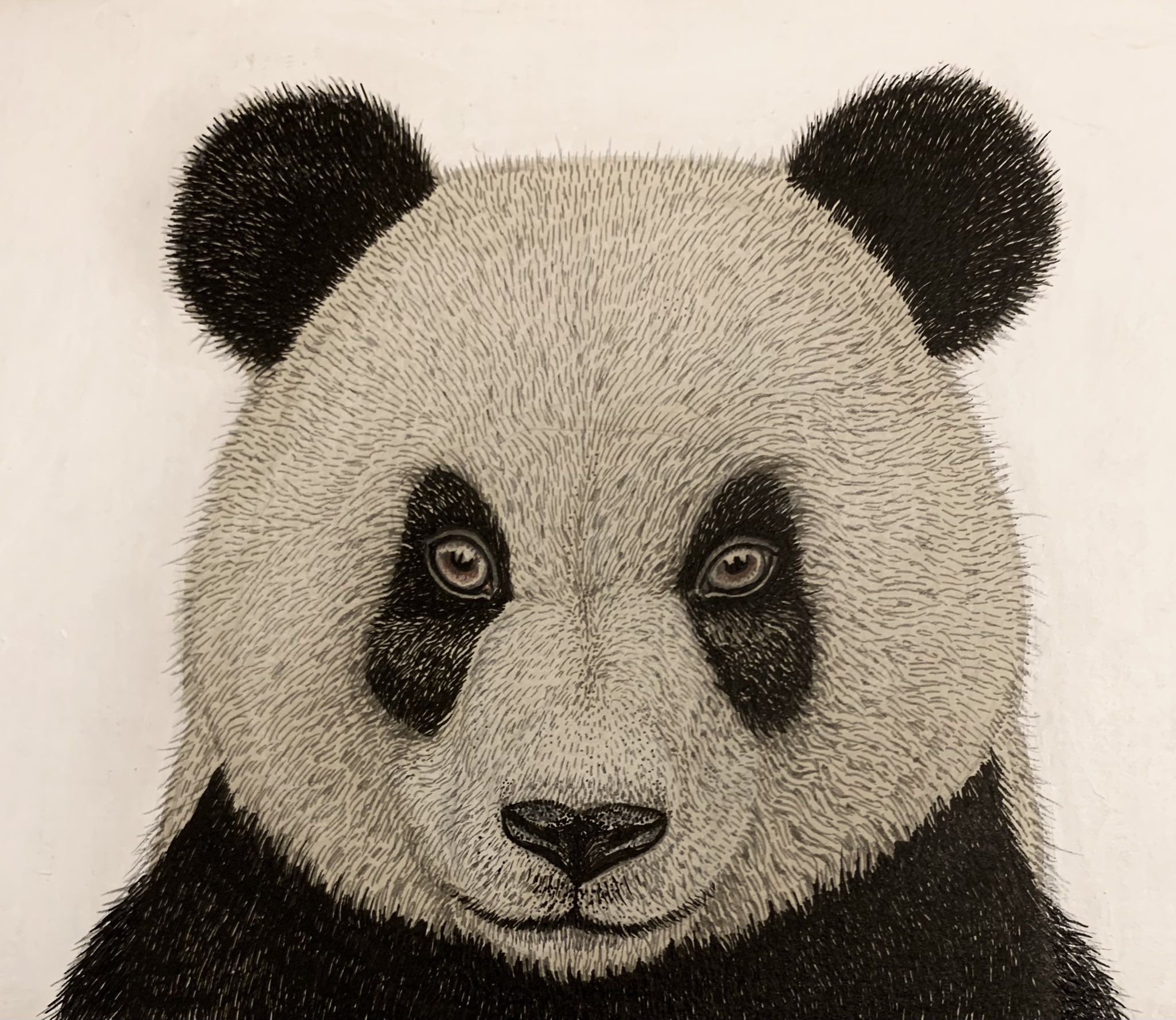 Shane Swann Art on Twitter: Shane Swann Art on Twitter: