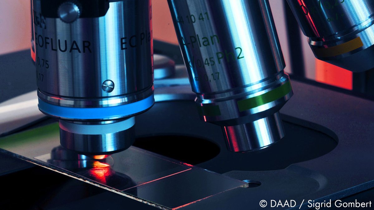 ResearchGermany's tweet photo. Bacteria adapt syringe apparatus to changing conditions 👉 https://t.co/YyIvbc3YJo @maxplanckpress #Microbiology #StructuralBiology #BacterialPathogenesis https://t.co/zFJ1tg1D7X