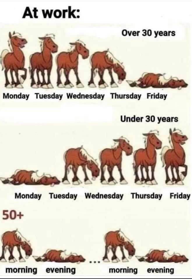 Greg Carpenter tweet media