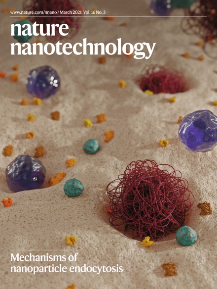 NanoMB (@bio_nano) on Twitter photo Josh's great review in <a href="/NatureNano/">Nature Nanotechnology</a> with @LabParton on the key principles for studying therapeutic uptake by cells. <a href="/MIPS_Australia/">Monash Institute of Pharmaceutical Sciences</a> <a href="/ARCCoEBionano/">CBNS</a> #endocytosis #Nano Josh's great review in <a href="/NatureNano/">Nature Nanotechnology</a> with @LabParton on the key principles for studying therapeutic uptake by cells. <a href="/MIPS_Australia/">Monash Institute of Pharmaceutical Sciences</a> <a href="/ARCCoEBionano/">CBNS</a> #endocytosis #Nano